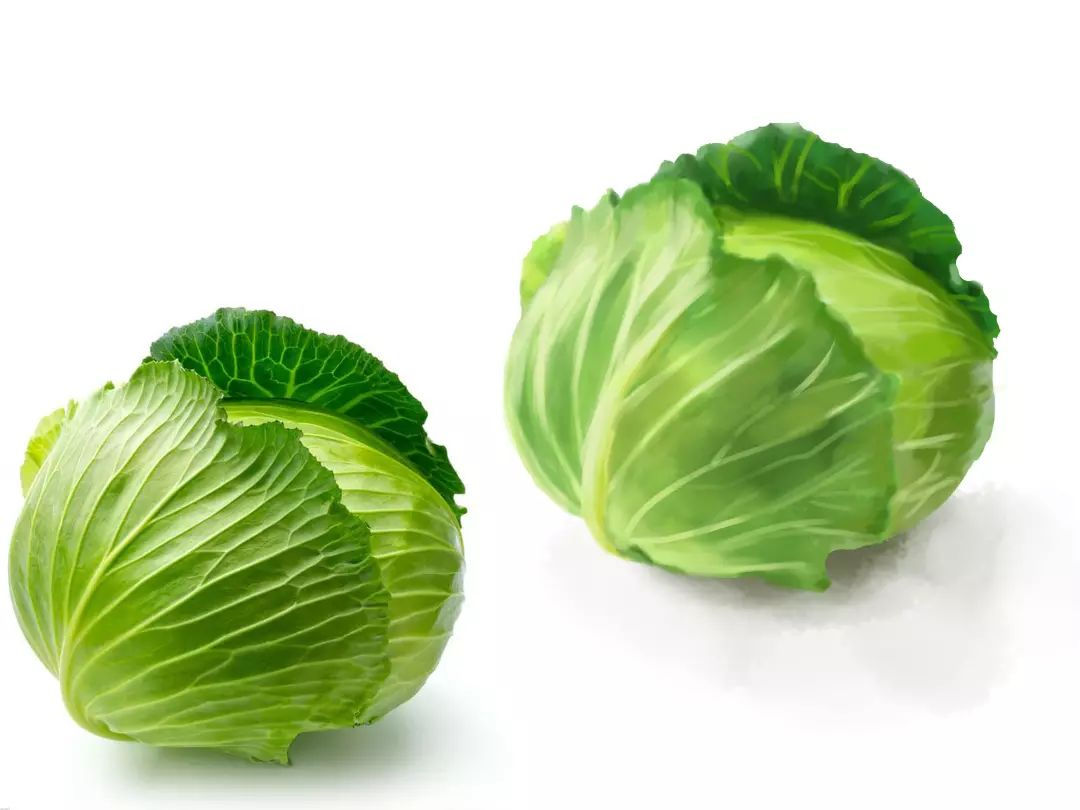 Cameron Highlands Cabbage 700g +/-