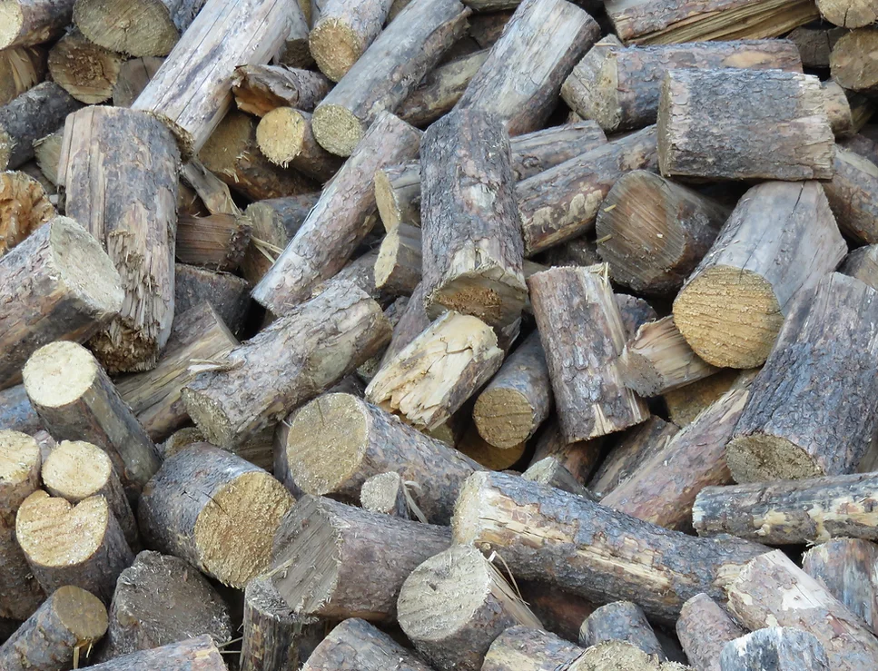 Fireood Biomass Colorado Morga Timber Products