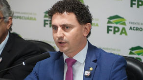 Projeto que cria delegacias especializadas para atuar em conflitos agrários é aprovado na Câmara