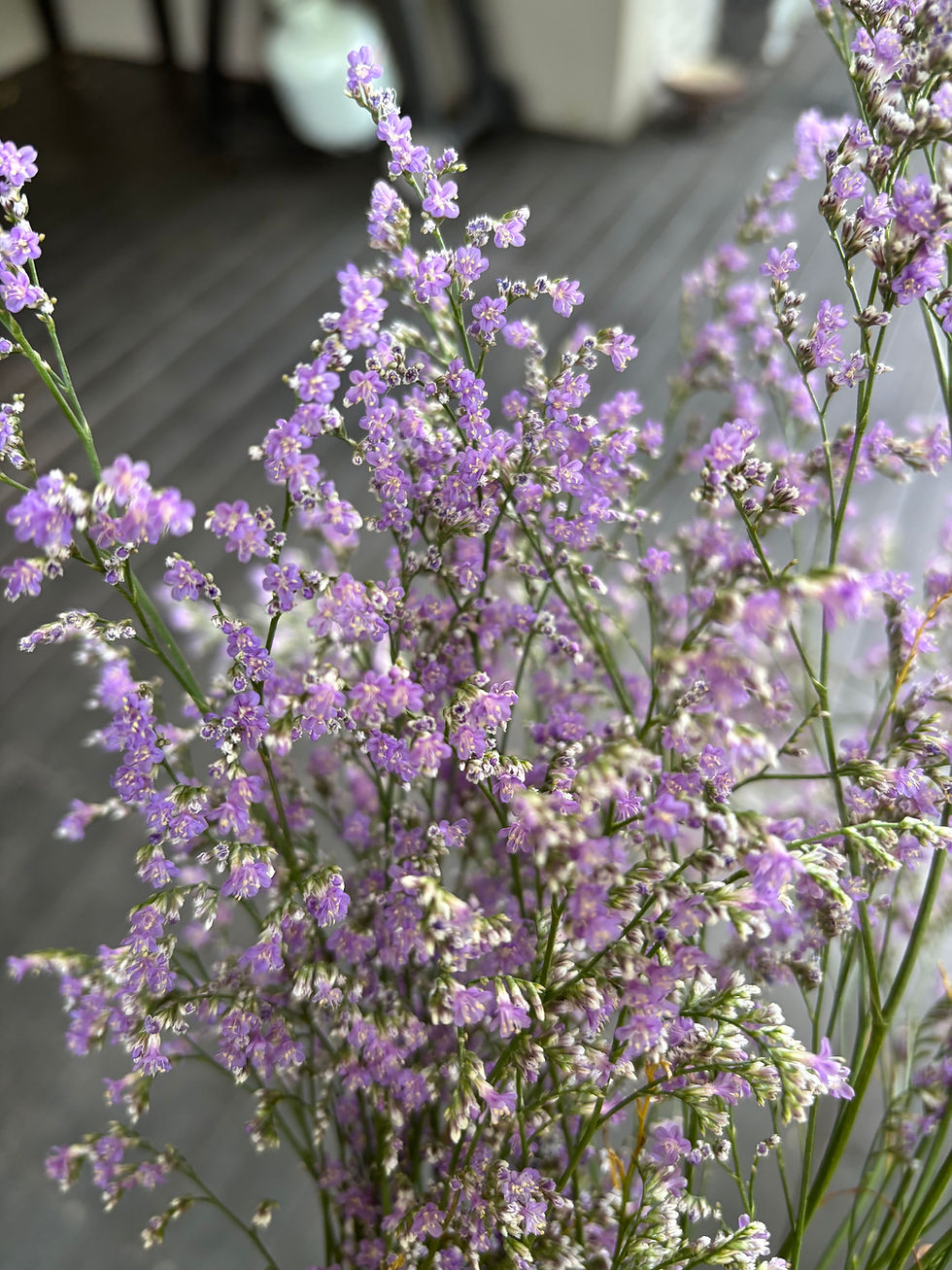 Thumbnail: Limonium Misty Blue