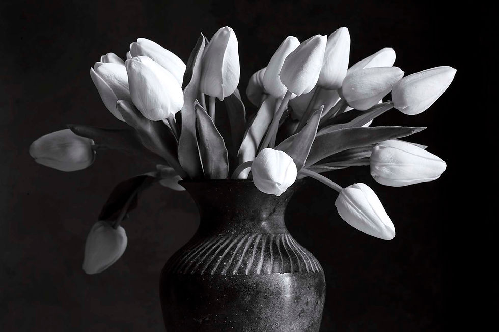 Still Life (Tulips).jpg