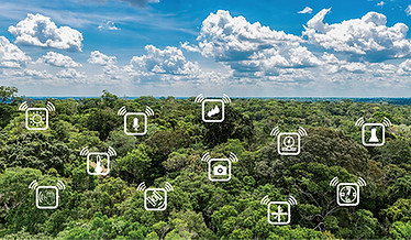 environmental wireless.jpg