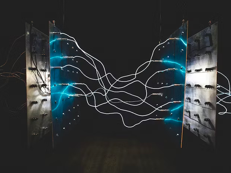 Pijn en Brein #3: Een schokkend verhaal over neuroplasticiteit