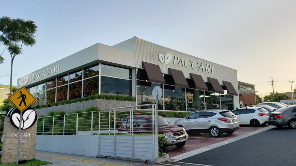 manual de marca Paccari