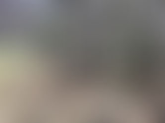 Coyote on Zoerb Prairie