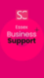 Providing Essex based consultancy support