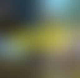 ¿ Qué son los JUEGOS MMO ?