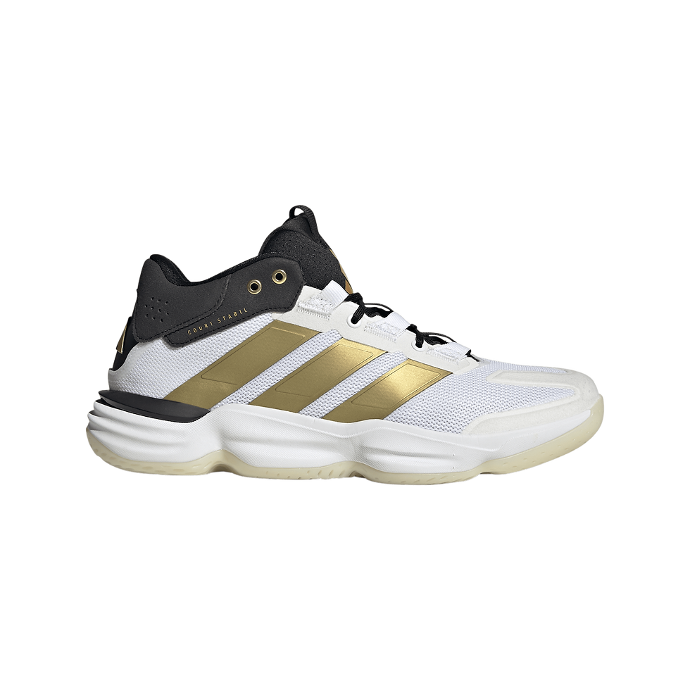 Courtstabil chez Team H Sports