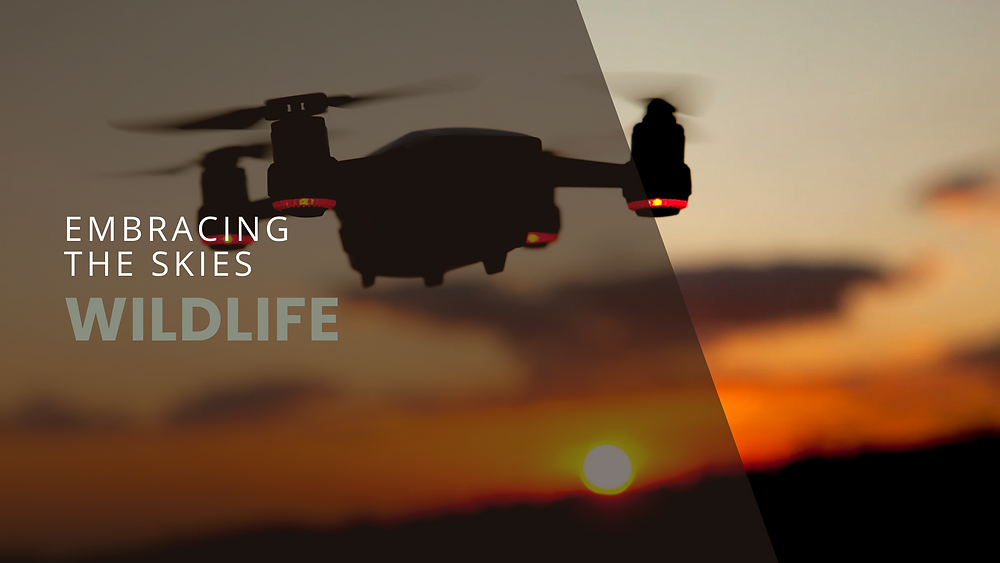 Embracing the Skies: How Drones are Unlocking New Possibilities for