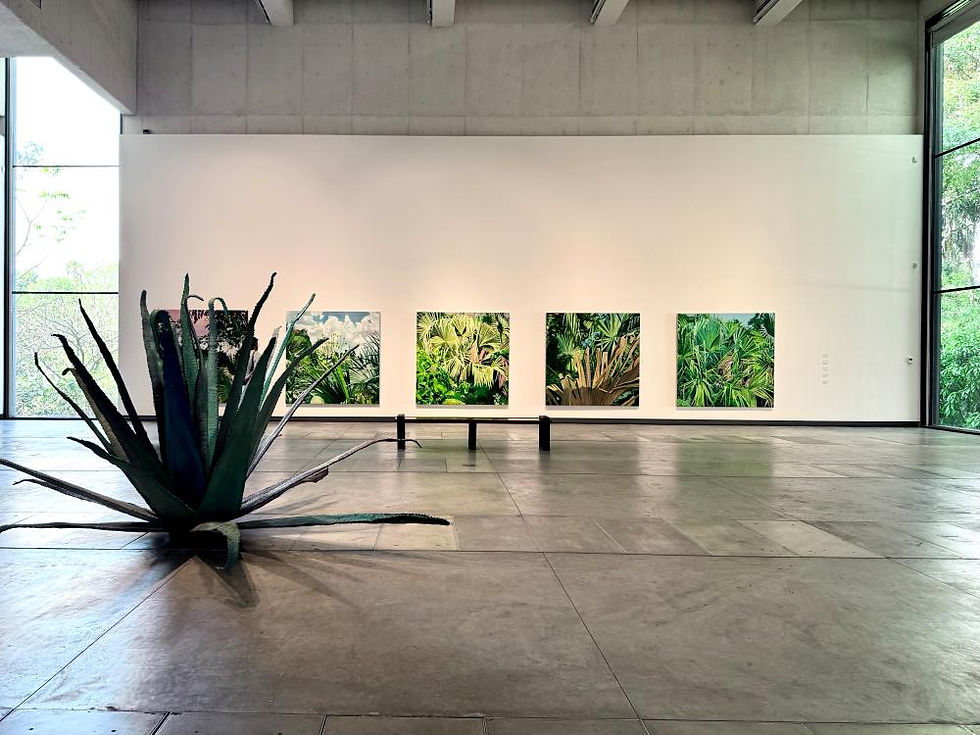 Jungle de Yutaka Sone