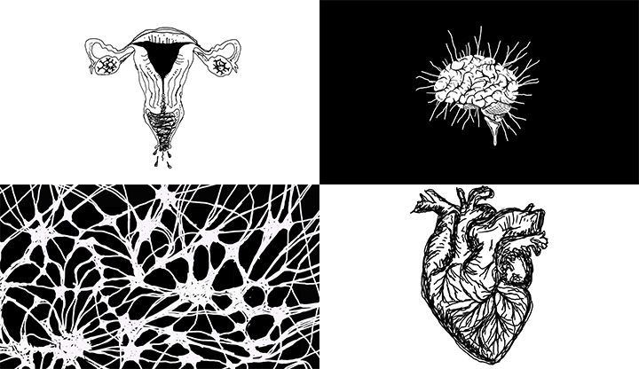 WhatsApp Image 2025-11-27 at 5.20.14 PM.jpeg