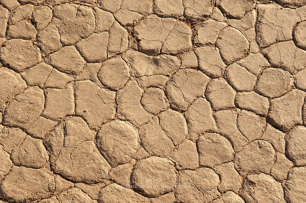 Dry-Mud-Texture-Namib-Desert