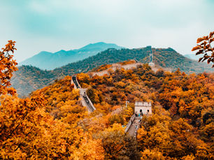 China Reopens Visa Applications for Intl. Students - NAFSA