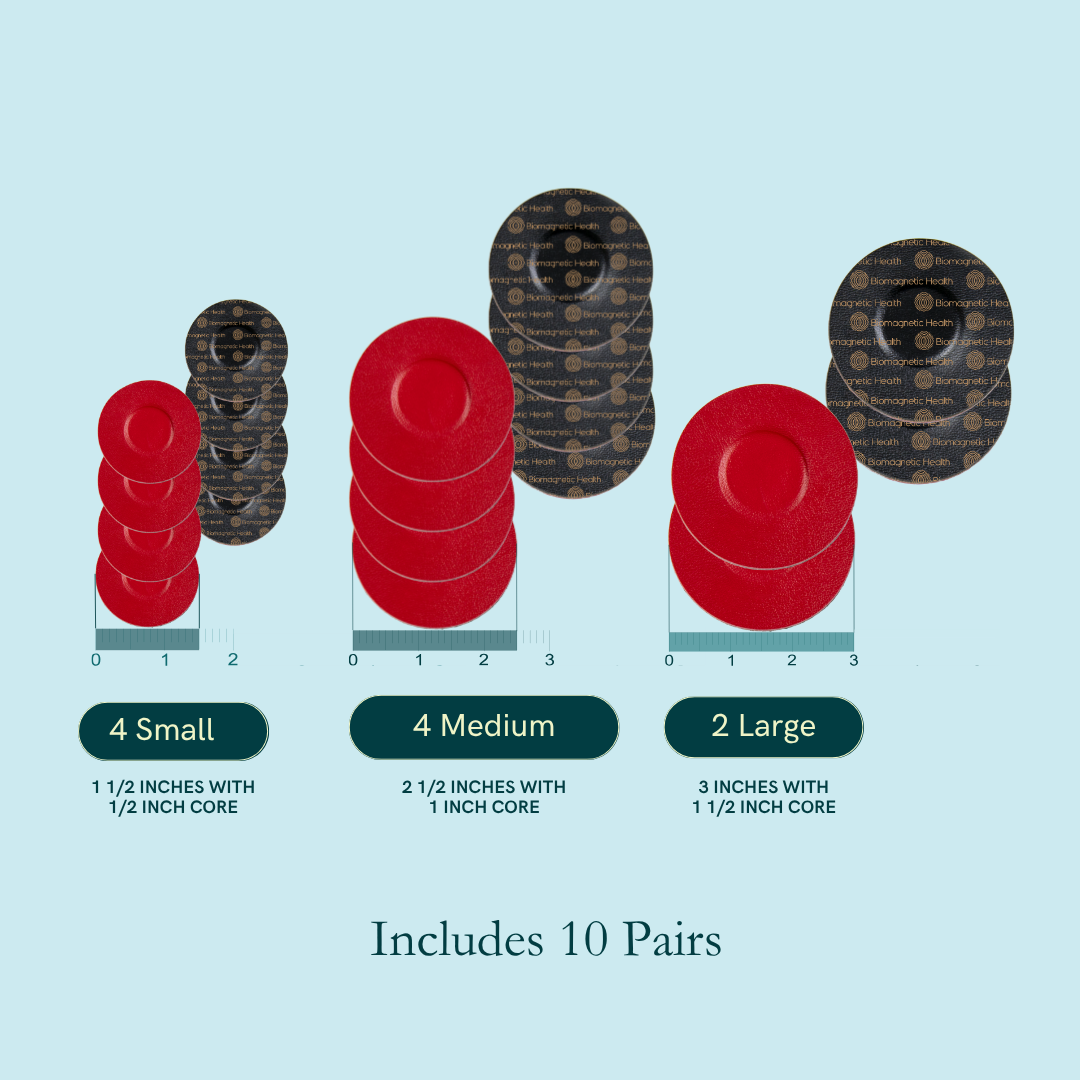 Infographic demonstrated the sized and quantity of biomagnetism magnets included in the Starter Kit.