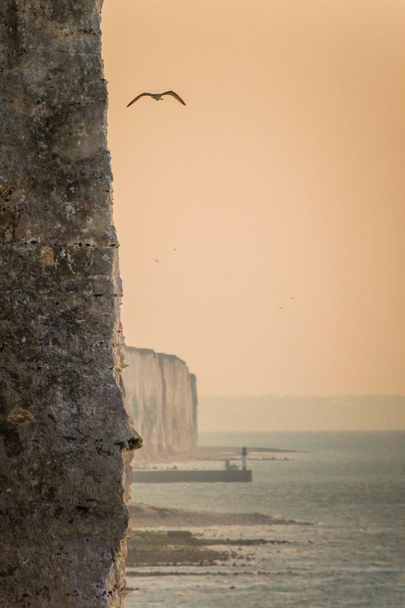 GSM_022660_Falaises d'Ault_DVD49_MG_5476