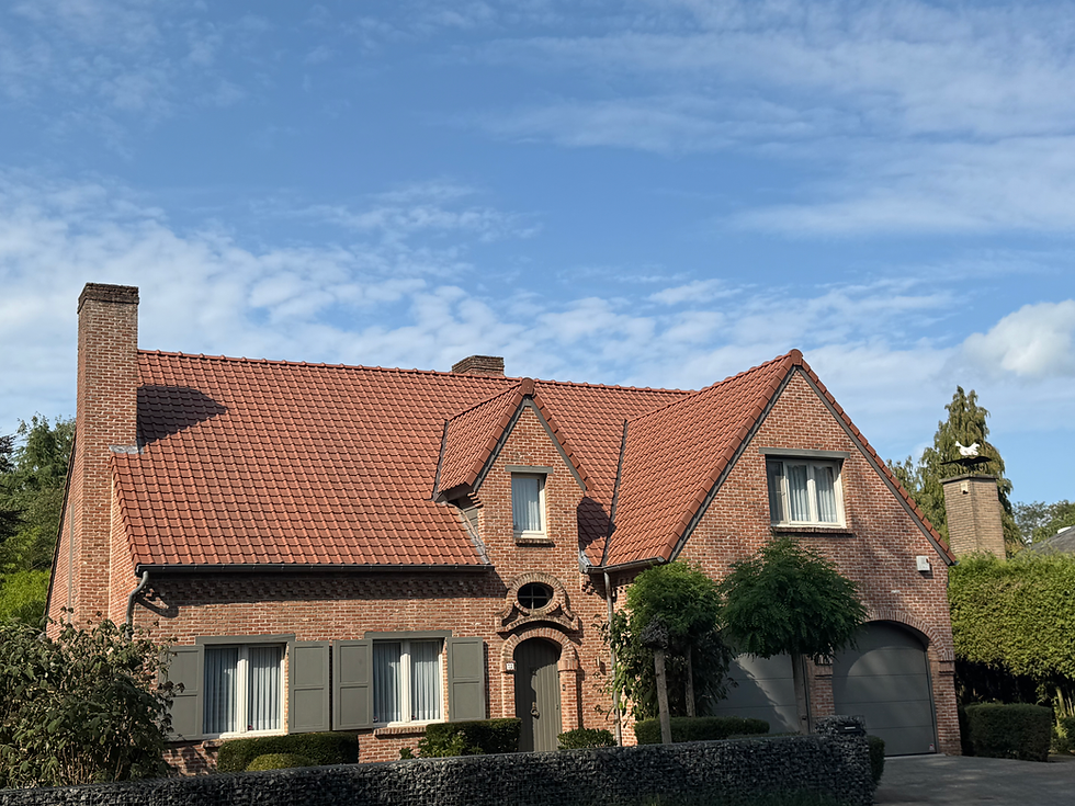 Project Krommelei - Wijnegem
