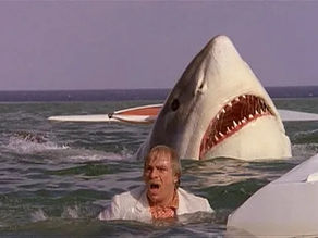 The Great White (1981)