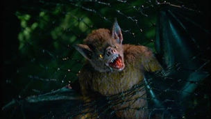 Vampire Bats (2005)