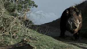 Boar (2017)