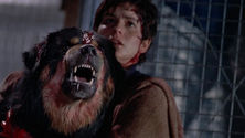 Man's Best Friend (1993)