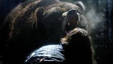 Grizzly Park (2008)