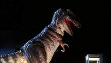 Raptor (2001)