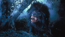 Howling IV: The Original Nightmare (1988)