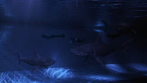 Dark Waters (2003)