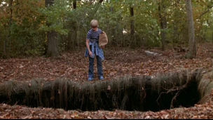 The Pit (1981)