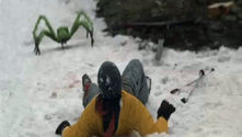 Ice Spiders (2007)