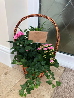 oQP2NWQ7S2mgDr8mJksDMw