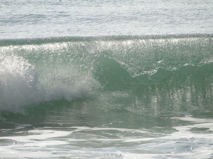 Praia das Toninhas