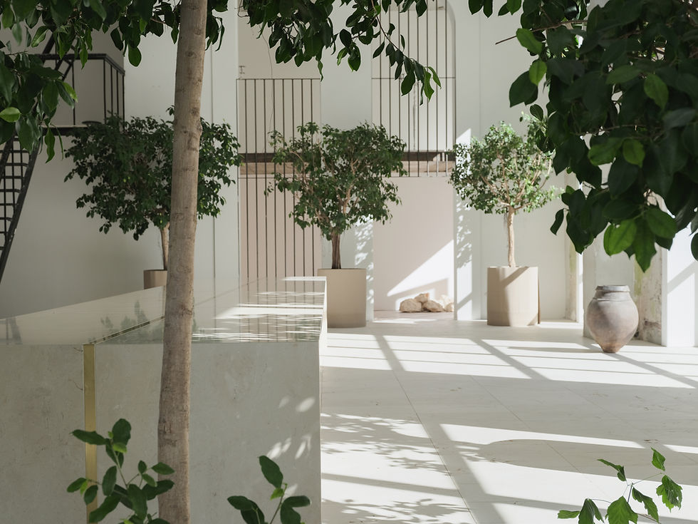 Indrė Mylytė, Druskininkai, L. Mykolaitis (4)