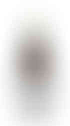 Vino Domaine Labet Les Insolites Savagnin Élevage Long 2018