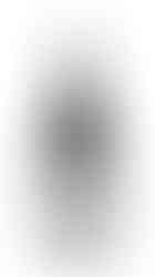 Ver Sacrum Monastrell