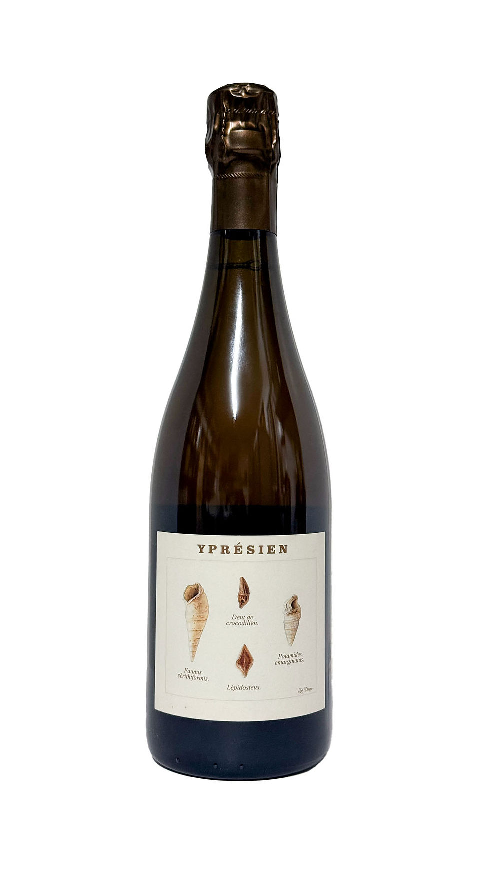 Legrand Latour Ypresien