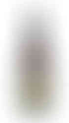 Jorge Olvera As Nabatas