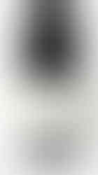 Pax Alder Springs Vineyard Mendocino County Syrah 2021