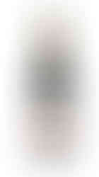 Scar of the sea Bassi Vineyard Pinot 22