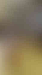 Sensory Glass by Conterno