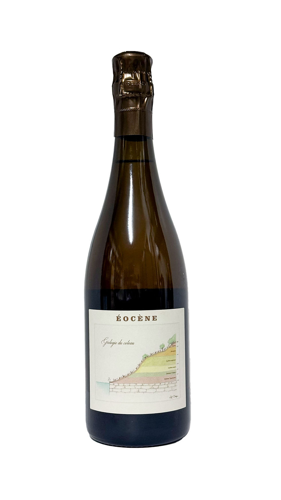Legrand-Latour Eocene