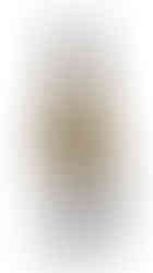 Charlotte Sonjon Roussette de Savoie