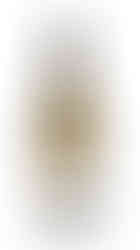 Charlotte Sonjon Roussette de Savoie