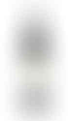 Antoniolo Gattinara Osso San Grato Riserva