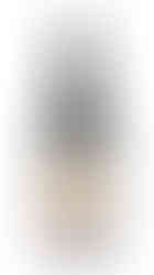 Henri Chauvet Vie Ordinaire 2023