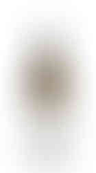 Simon Bize & fils Corton Charlemagne Grand Cru 2018