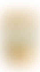 Med Art Sal Fina Marina Virgen