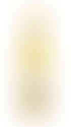 Gaston Hochar Chateau Musar 2007