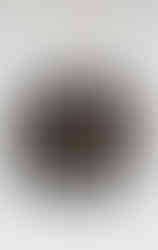 Calciano Panettone ChocoRhum relleno