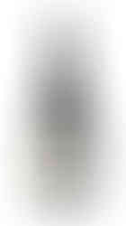 Jorge Olivera O Baile do Gurrión